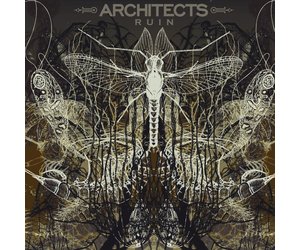 Ruin/Architects アルバム Architects - Ruin - Amazon.com Music