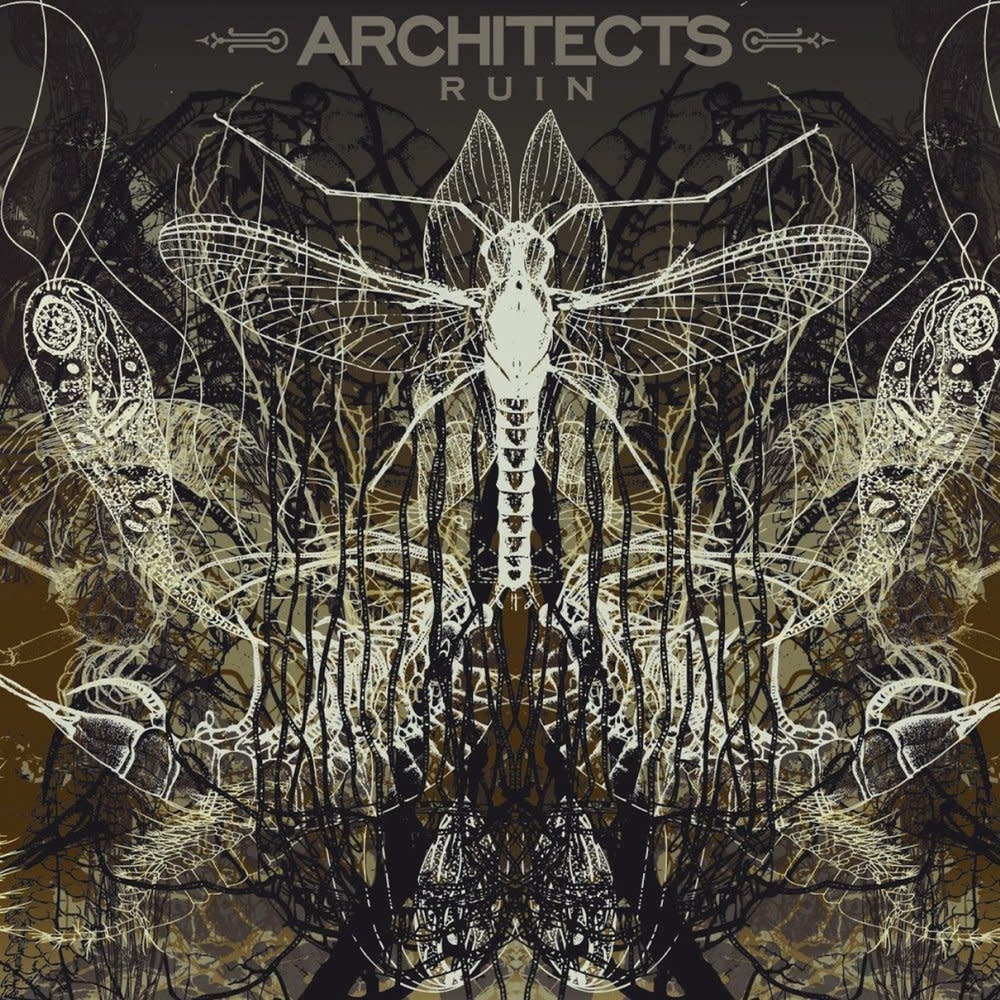 Architects - Ruin