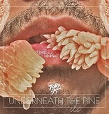 Toro Y Moi - Underneath The Pine