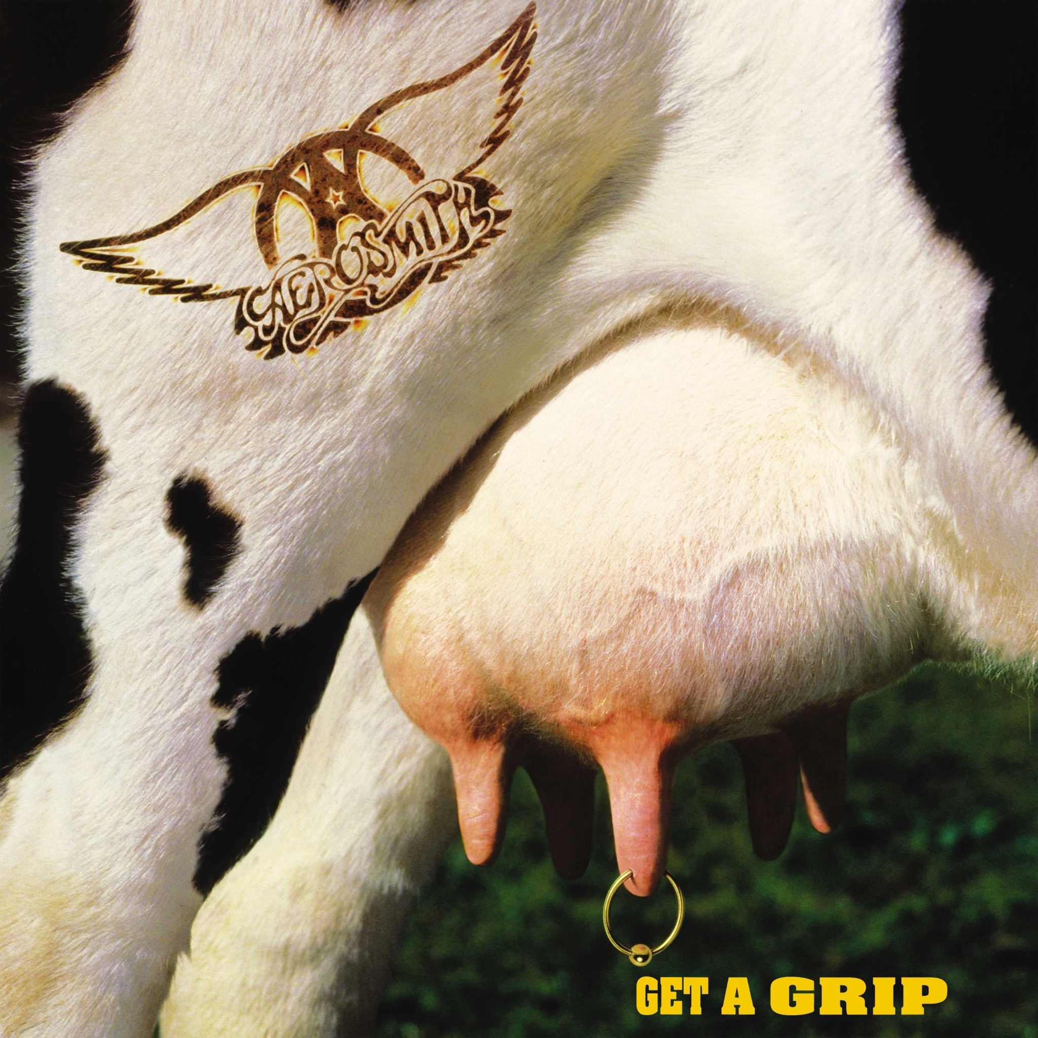 Aerosmith ‎– Get A Grip (Black & White Split)