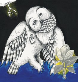 Songs Ohia - The Magnolia Electric Co.