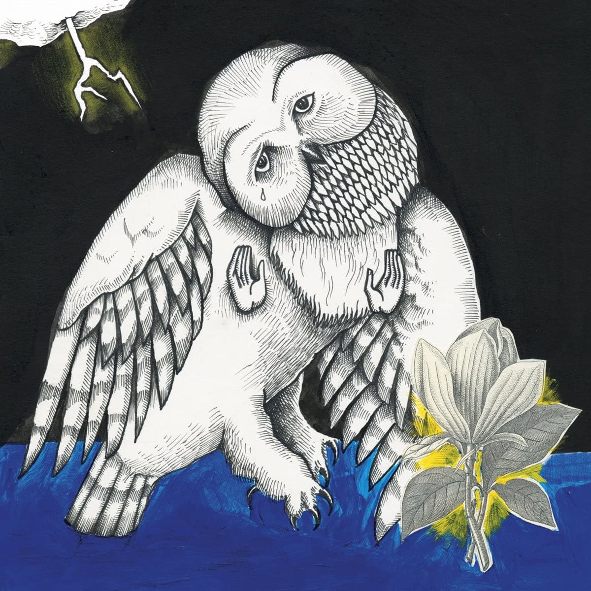 Songs Ohia - The Magnolia Electric Co.