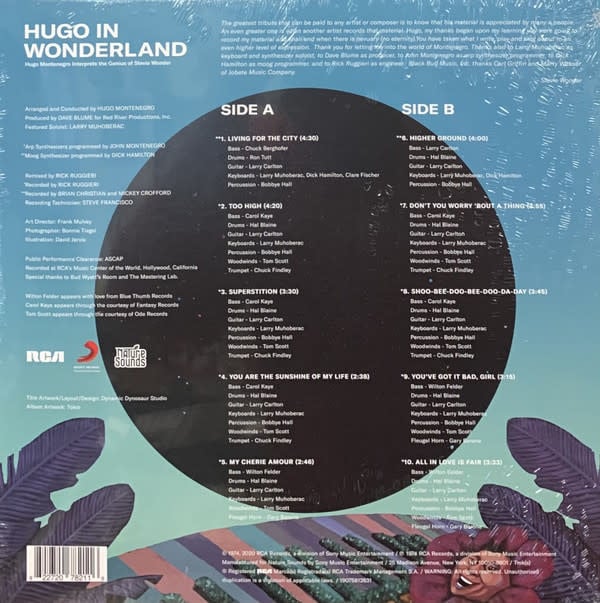 Hugo Montenegro ‎– Hugo In Wonderland (Hugo Montenegro Interprets The Genius Of Stevie Wonder)