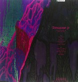 Dinosaur Jr. - Give A Glimpse Of What Yer Not