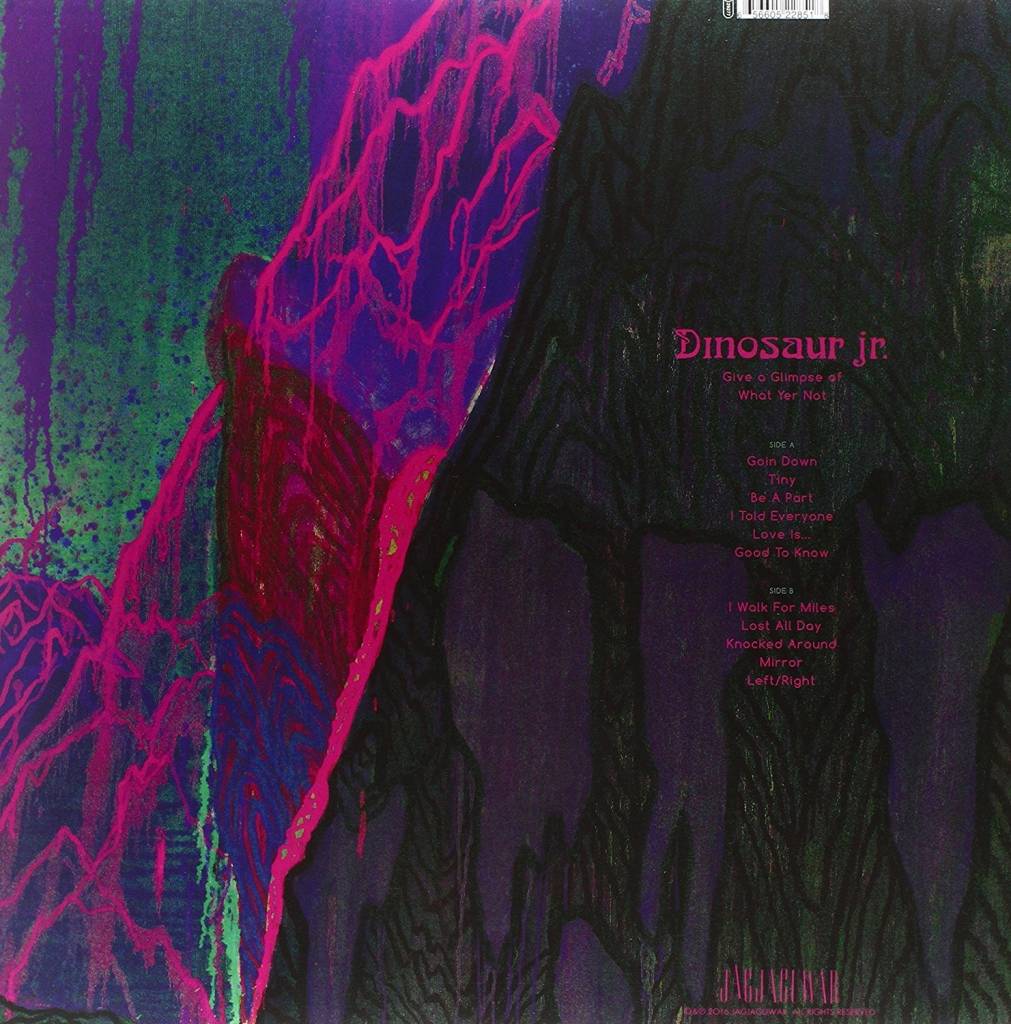 Dinosaur Jr. - Give A Glimpse Of What Yer Not