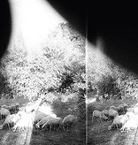 Godspeed You! Black Emperor - Asunder, Sweet, And Other Distress