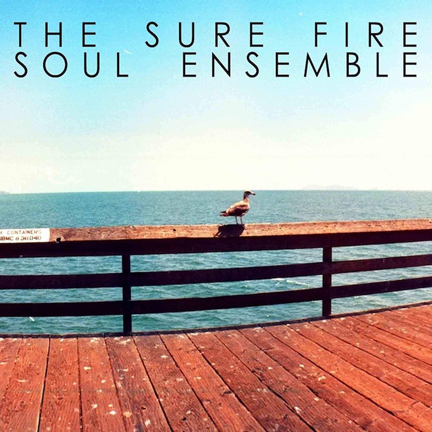 Sure Fire Soul Ensemble – The Sure Fire Soul Ensemble
