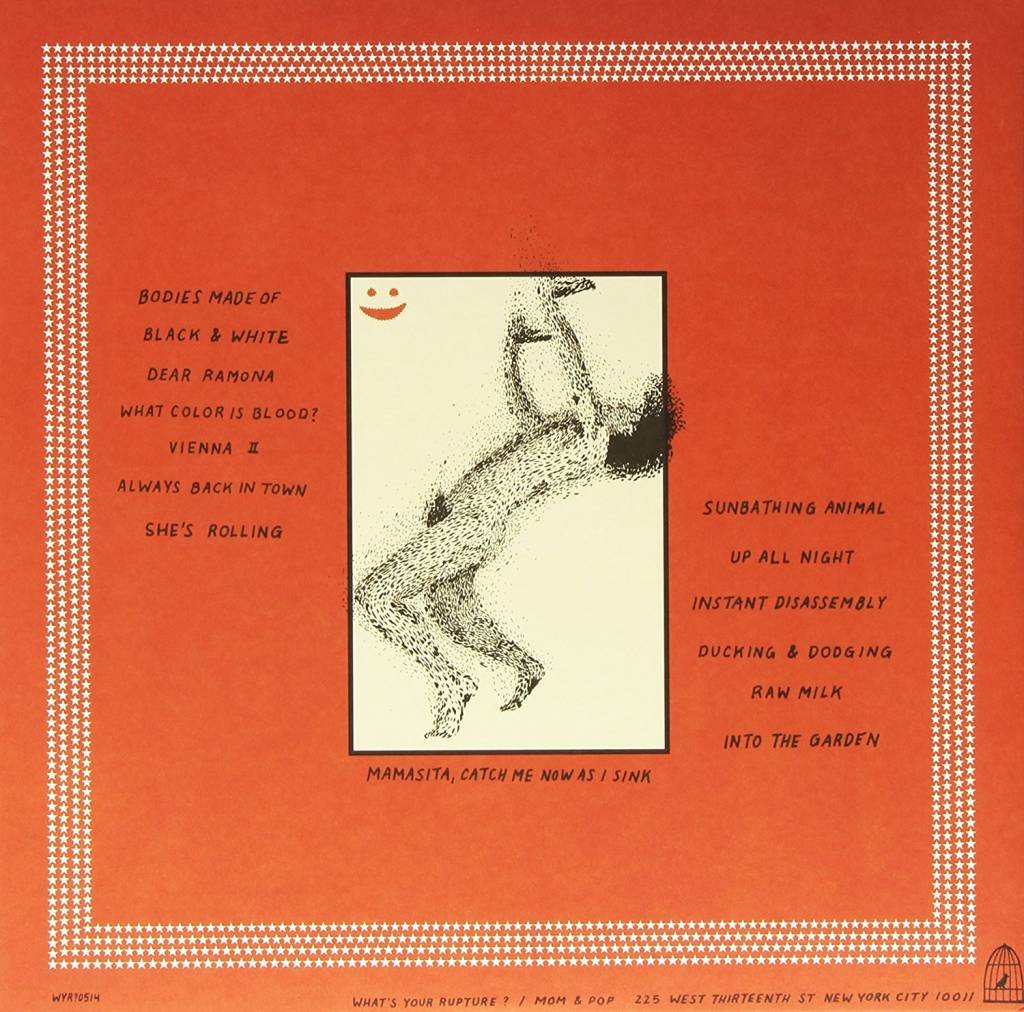 Parquet Courts - Sunbathing Animal