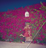 Feist - Pleasure