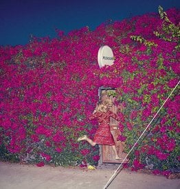 Feist - Pleasure