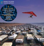 Pink Floyd - A Momentary Lapse Of Reason