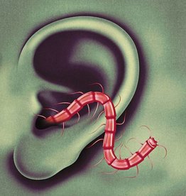 Thee Oh Sees - An Odd Entrances