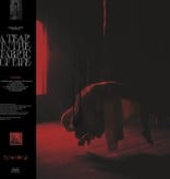 Knocked Loose – A Tear In The Fabric Of Life (Toffee)