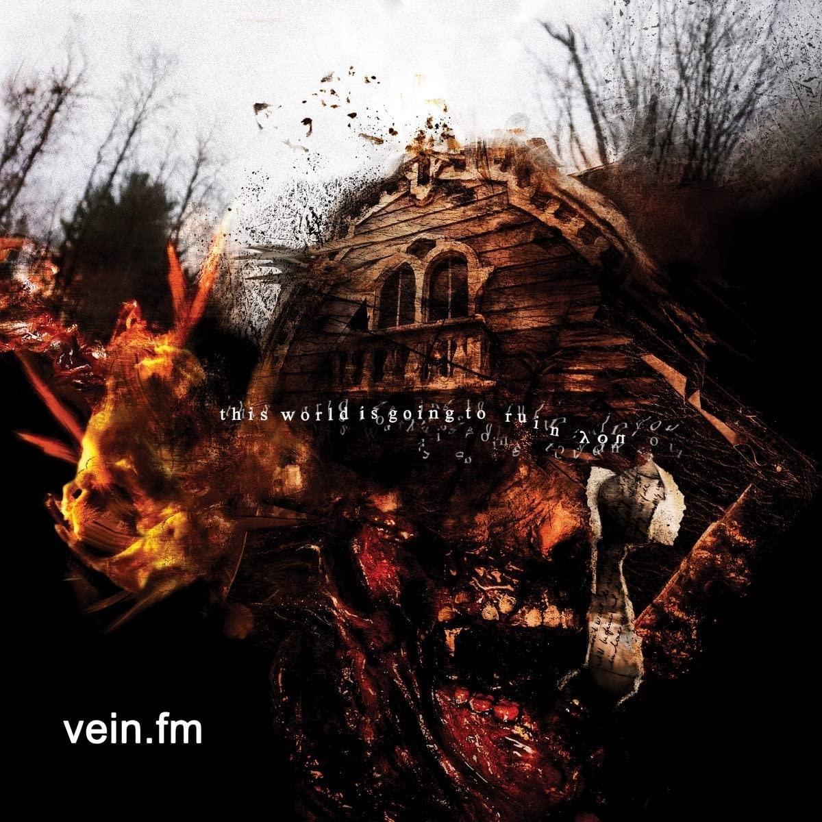 Vein.Fm – This World Is Going To Ruin You