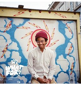 Toro Y Moi - What For?
