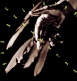 Bad Religion – Generator