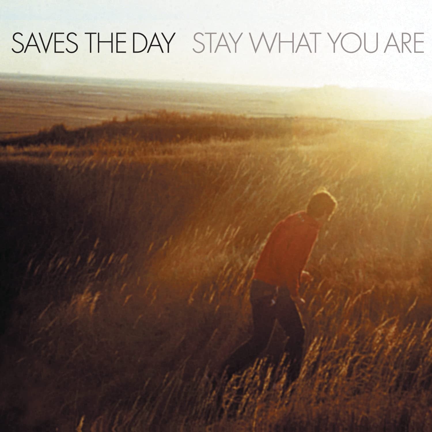 Saves The Day - Stay What You Are