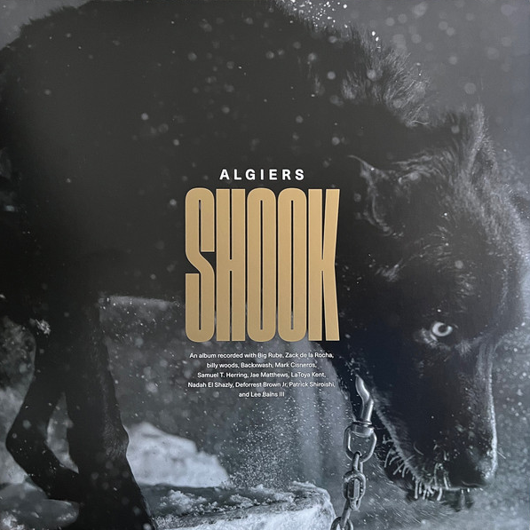 Algiers – Shook