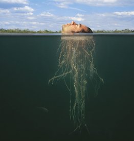 Mars Volta – De-Loused In The Comatorium (Gold & Dark Green)