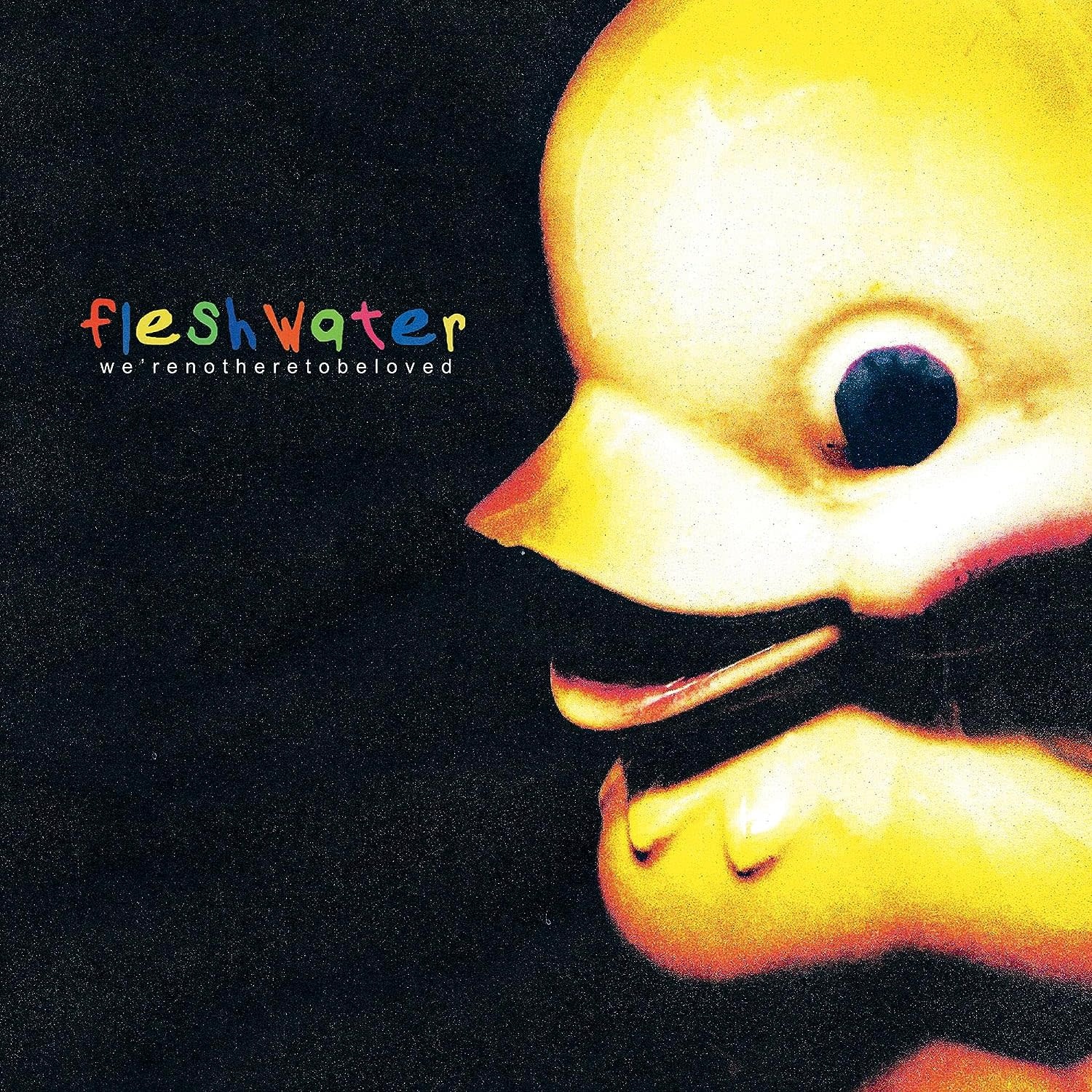 Fleshwater – We're Not Here To Be Loved
