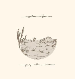 Gregory Alan Isakov - Appaloosa Bones