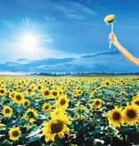 Stone Temple Pilots - Thank You (Sky Blue)