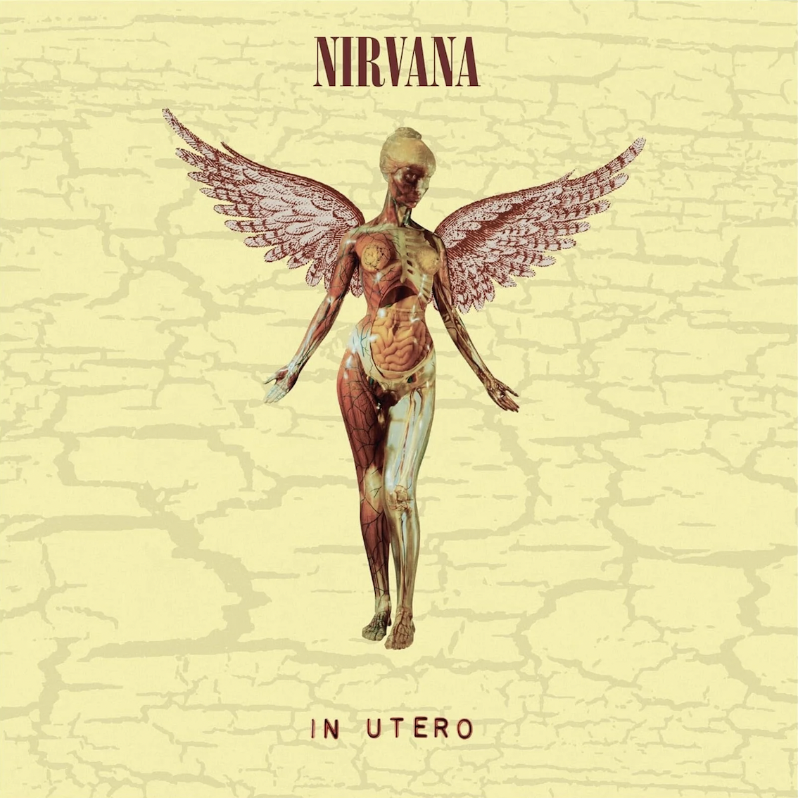 Nirvana – In Utero  (30th Anniversary Edition)