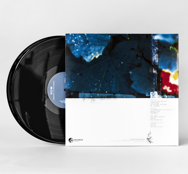 Hum – Downward Is Heavenward