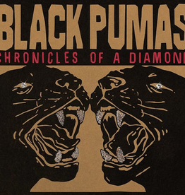 Black Pumas – Chronicles Of A Diamond