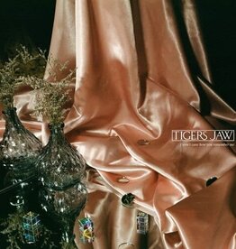 Tigers Jaw - I Won't Care How You Remember Me