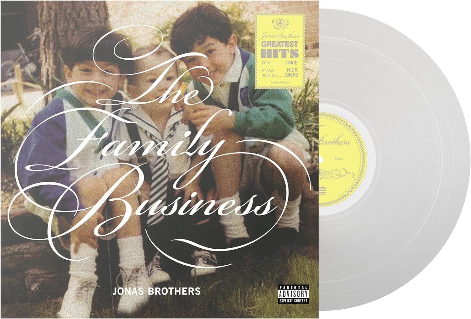 Jonas Brothers - The Family Business