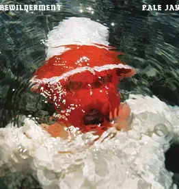 Pale Jay - Bewilderment