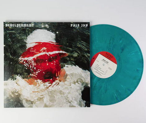 Pale Jay - Bewilderment