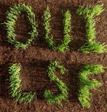 Les Savy Fav - OUI, LSF