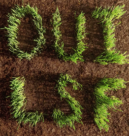 Les Savy Fav - OUI, LSF