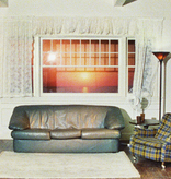 Wallows - Model (Clear)