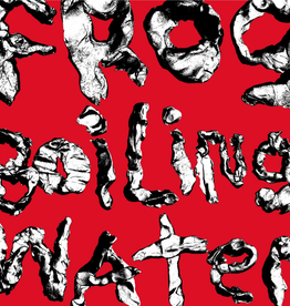 DIIV - Frog In Boiling Water