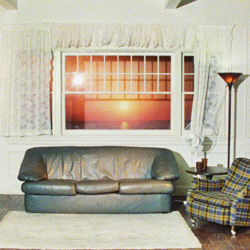 Wallows - Model (Horizon Vinyl)