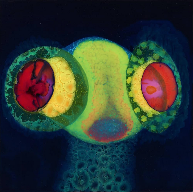 Osees – SORCS 80