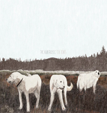 Foxing – The Albatross: Ten Years
