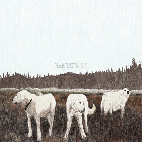 Foxing – The Albatross: Ten Years