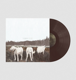Foxing – The Albatross: Ten Years