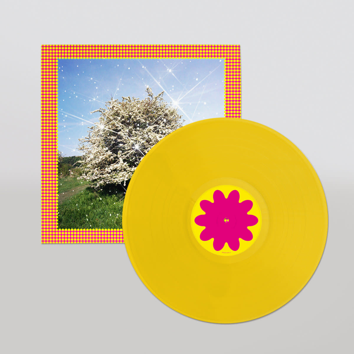 Caribou – Honey