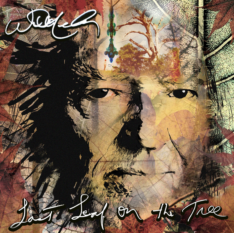 Willie Nelson - Last Leaf On The Tree