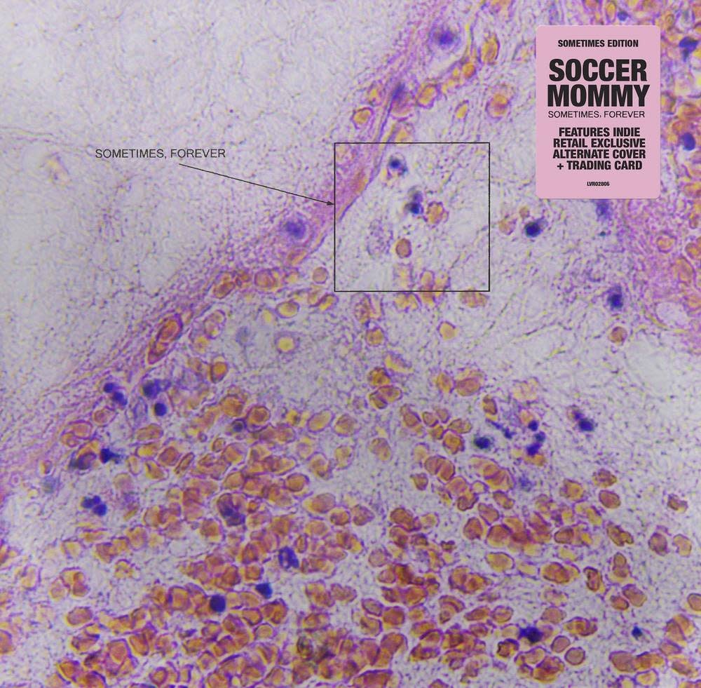Soccery Mommy - Sometimes, Forever (CD)