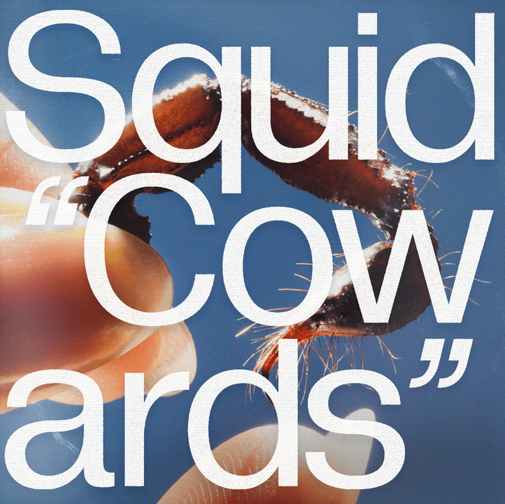 Squid – Cowards