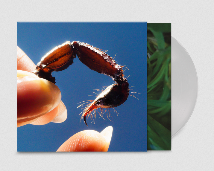 Squid – Cowards