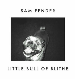 Sam Fender – Wild Grey Ocean