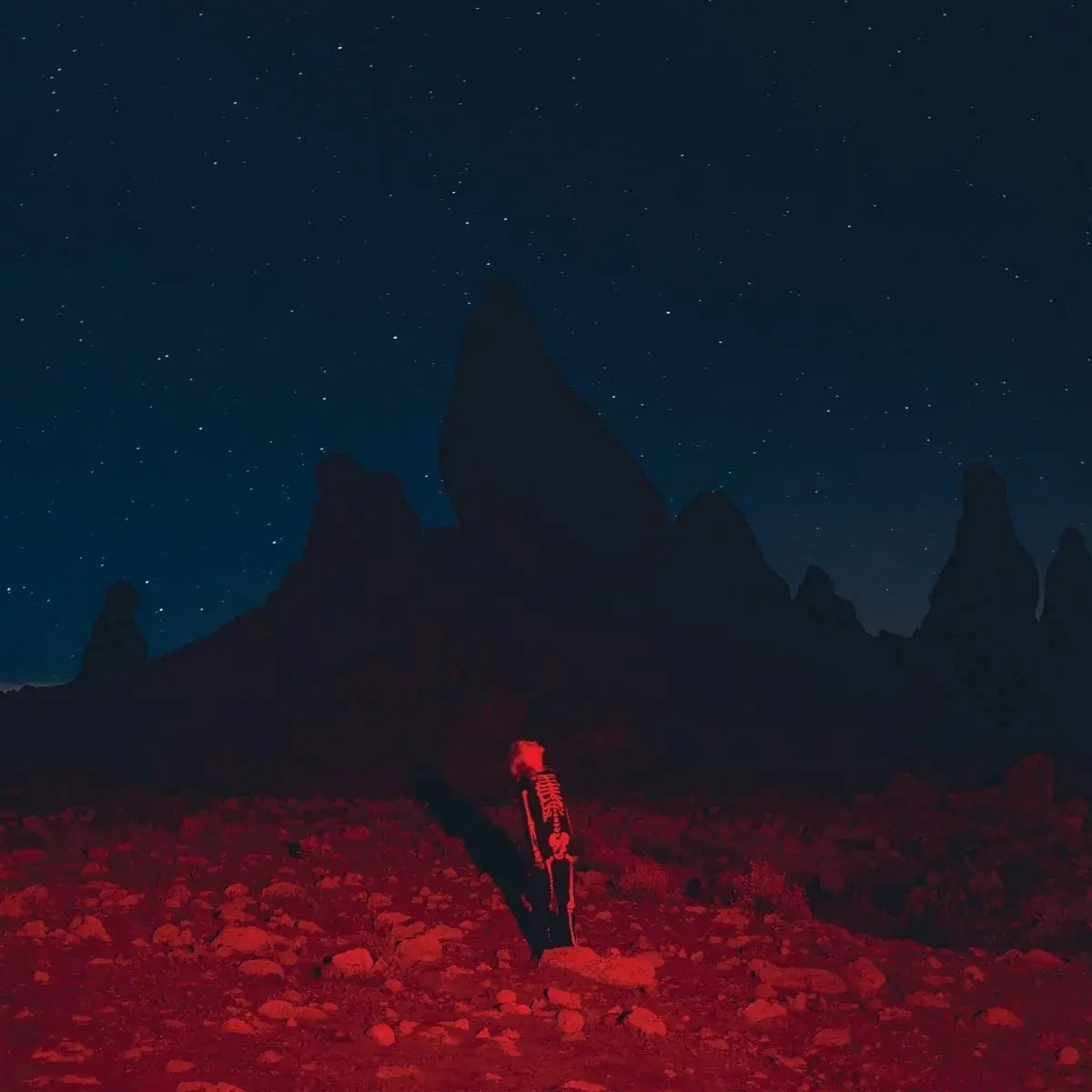 Phoebe Bridgers - Punisher (CD)