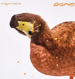 Pond - The Early Years (2008 - 2010)